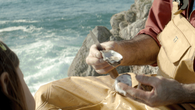 Pub Ciné pour le Comité National de la Conchyliculture