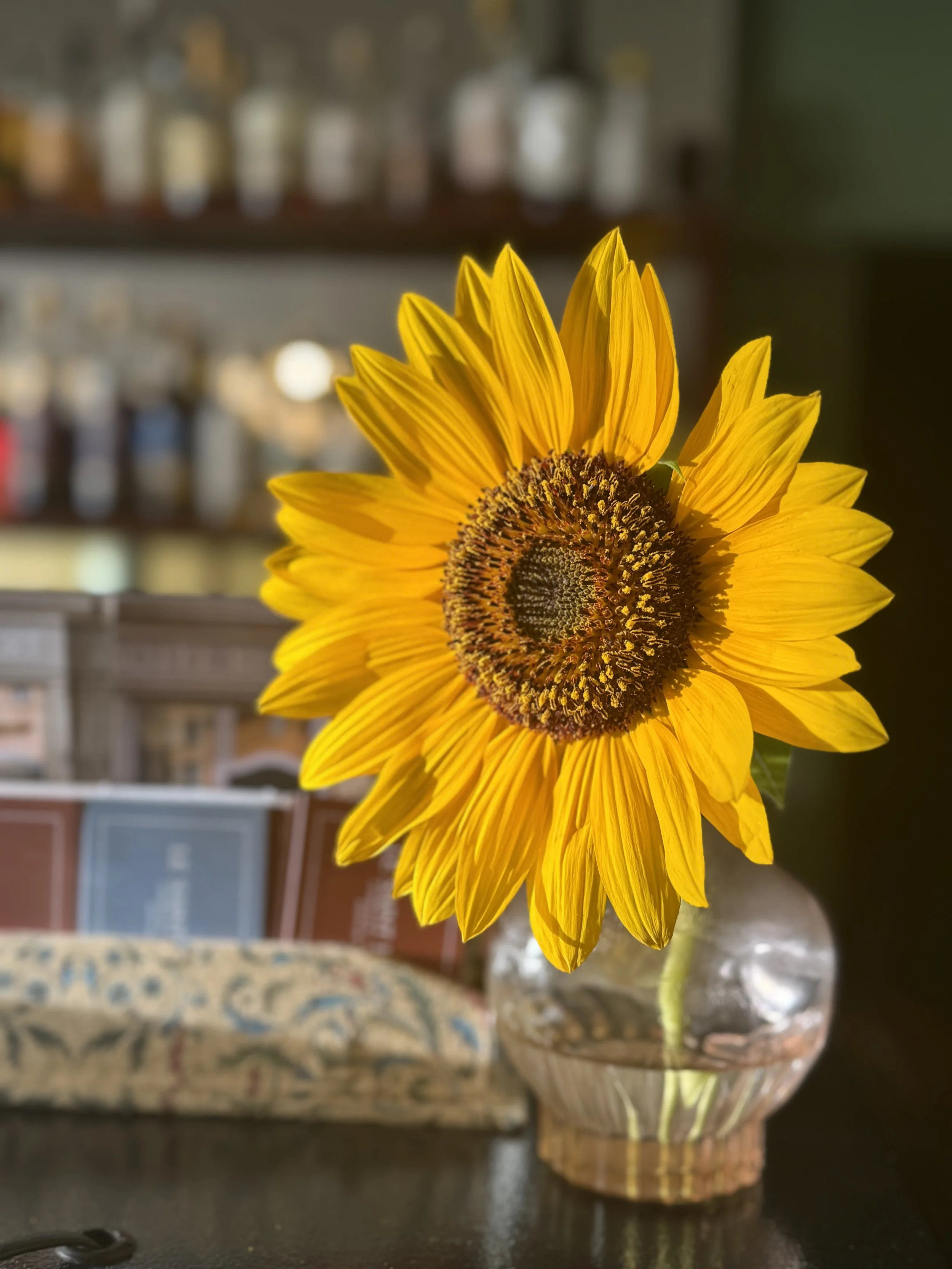 🪞 Brocante du Saint Hubert – Dimanche 8 février 2026 🕰️