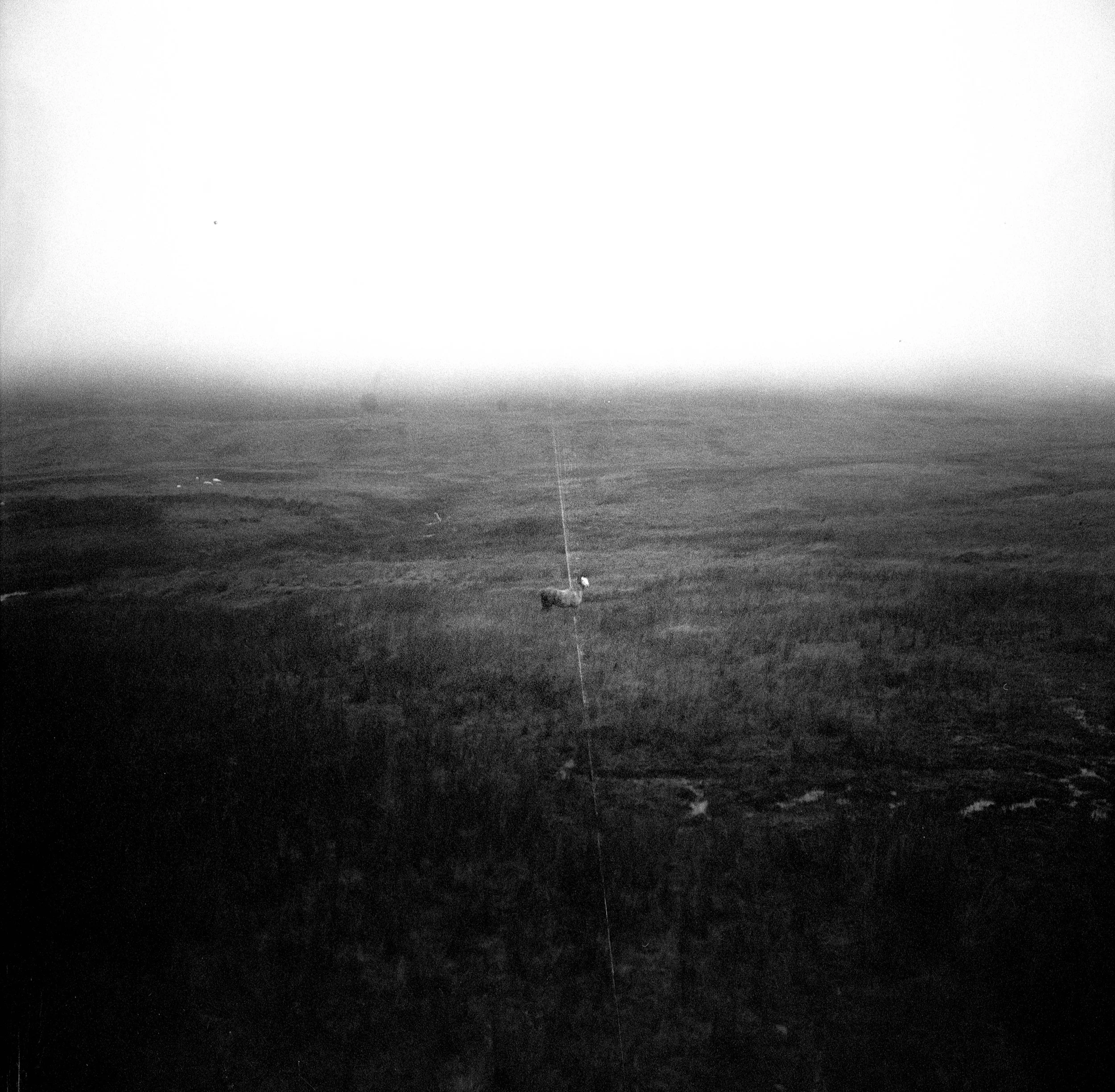 Image (2) (8).jpg