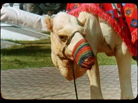 Bolex 16mm Film Test - Dubai