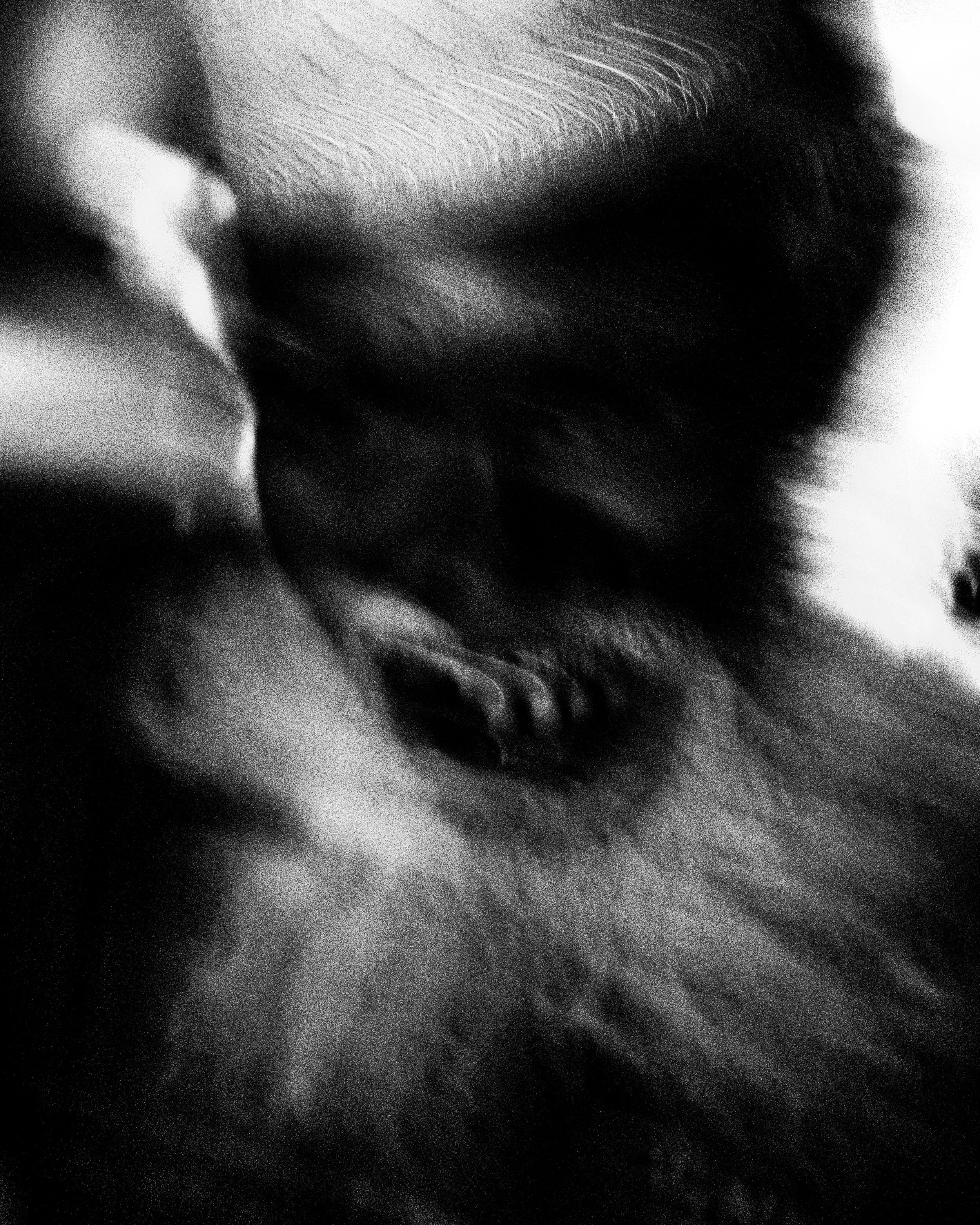 _DSF0504.jpg