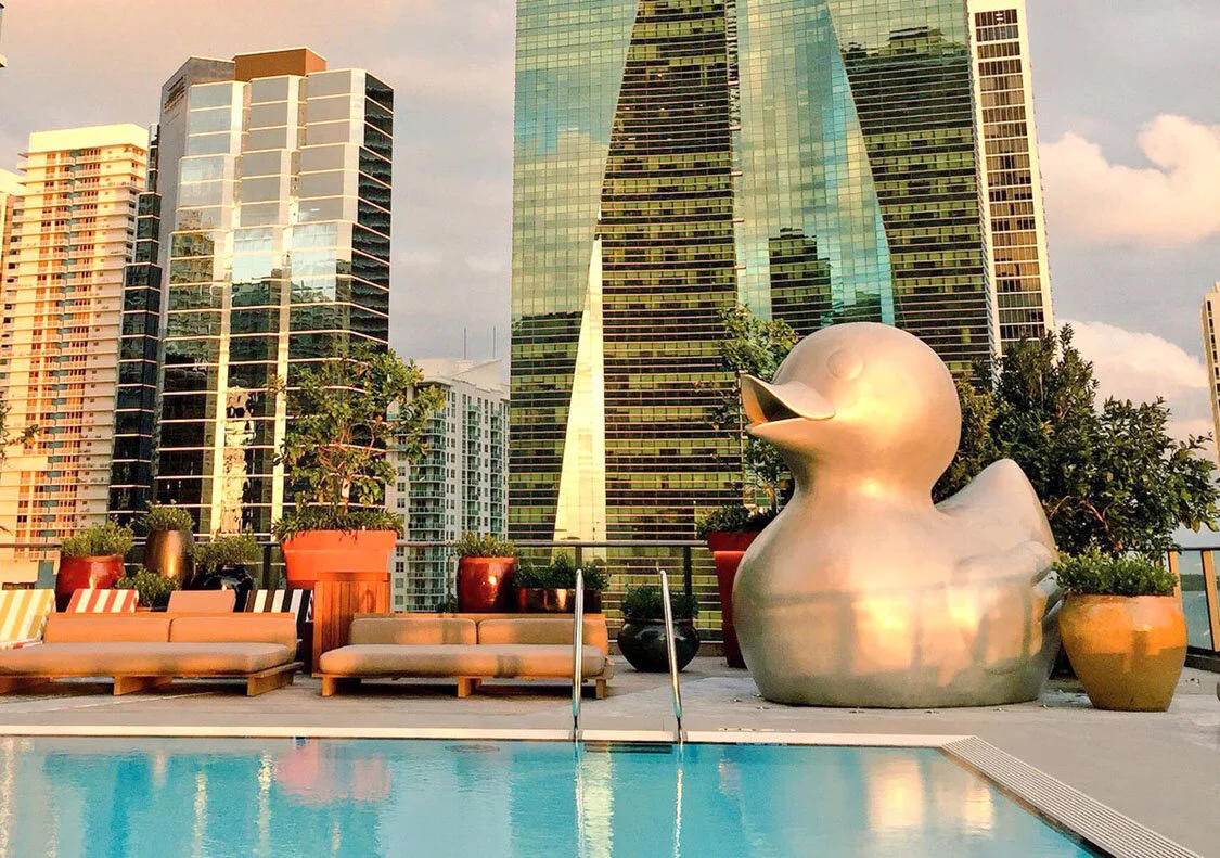 SLS DUCK 1 .jpg