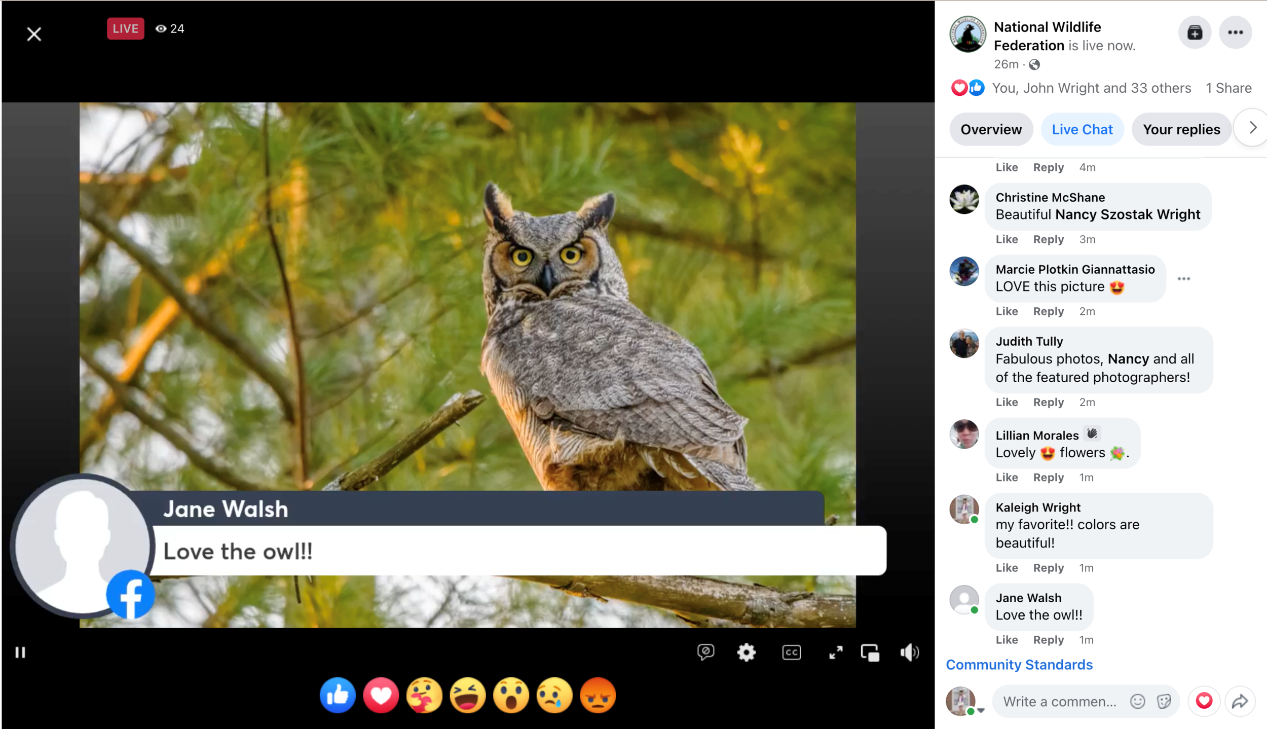 nwf screenshot_owl_janie.png