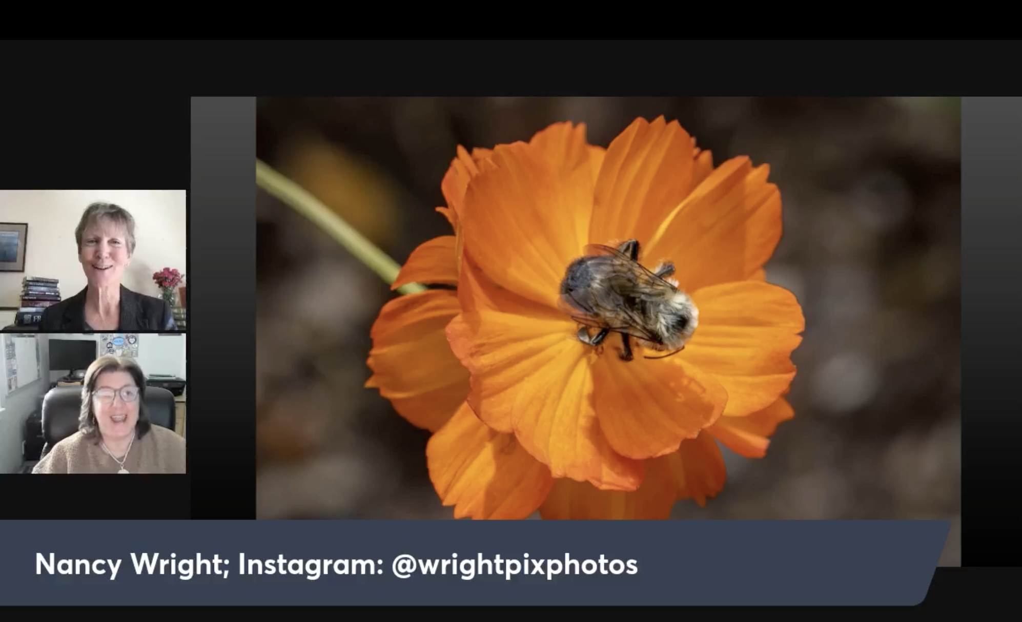 nwf screenshot_orange.png