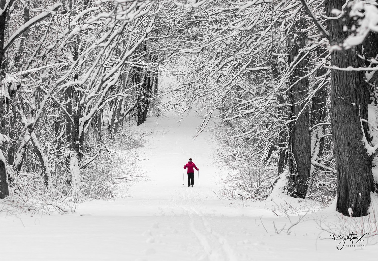 Fine-Art-Nature-Photography-Prints-wrightpix-POP-OF-RED-WINTER-SKIER.jpg