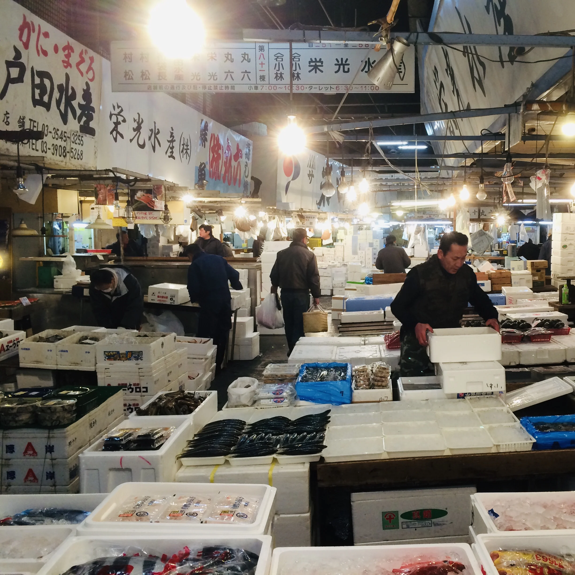 Tsukiji Fish Market, Tokyo