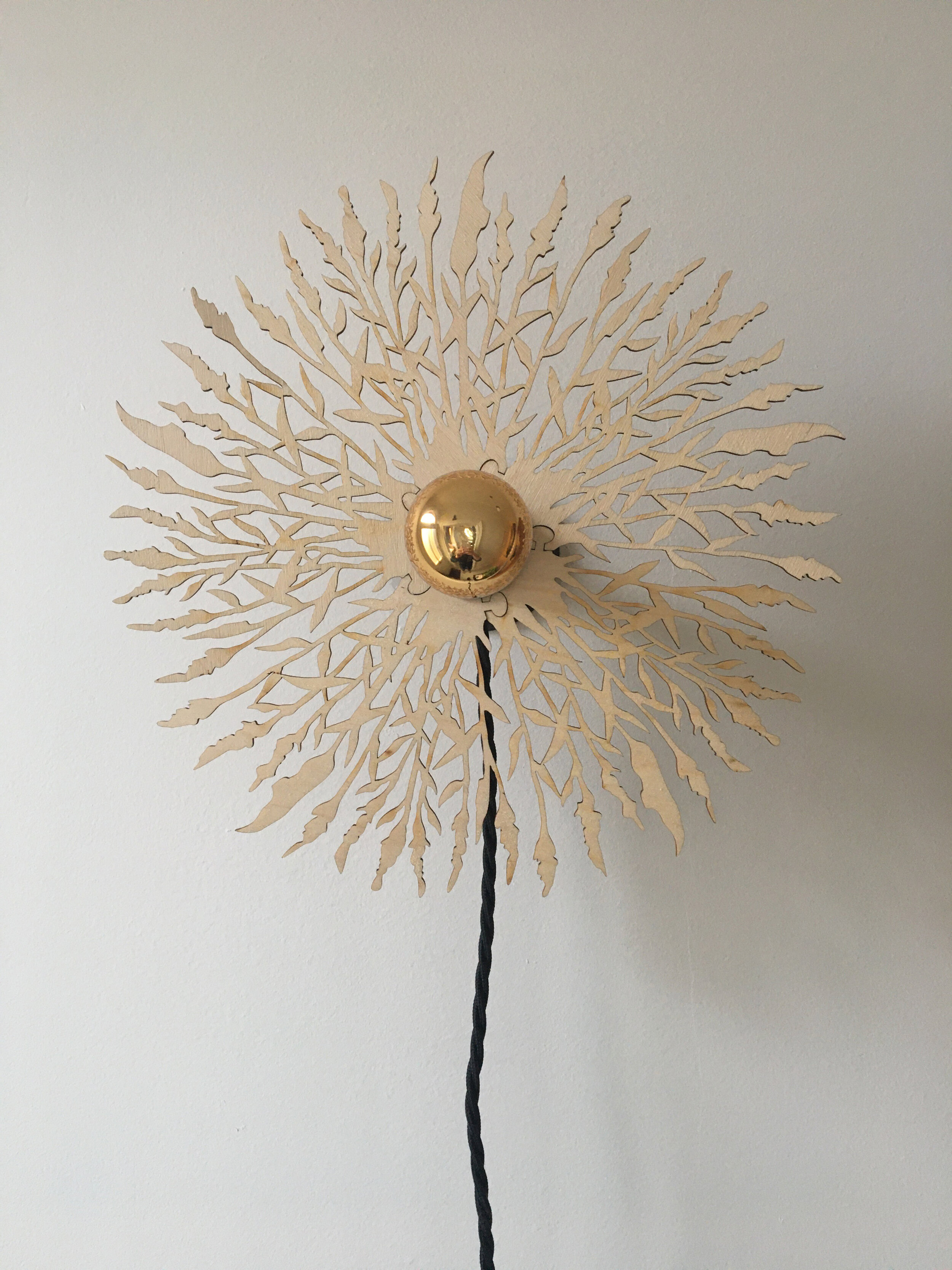 Reed | Illuminate with Style - Discover & Shop Now — CHARLOTTE PACKE ...