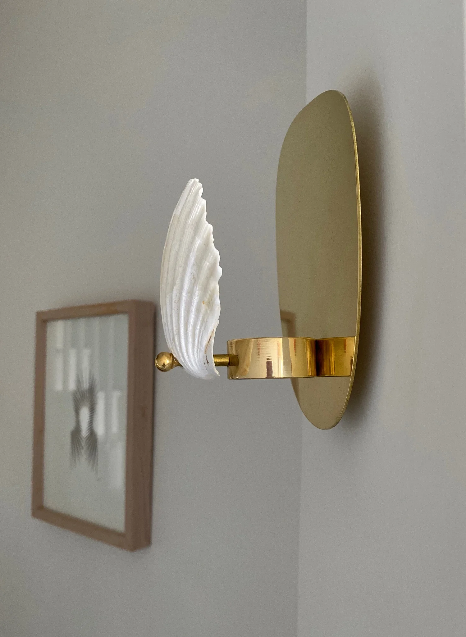 Shell Lights, Sconces, candles, scallop, scallop shell, and oyster ...