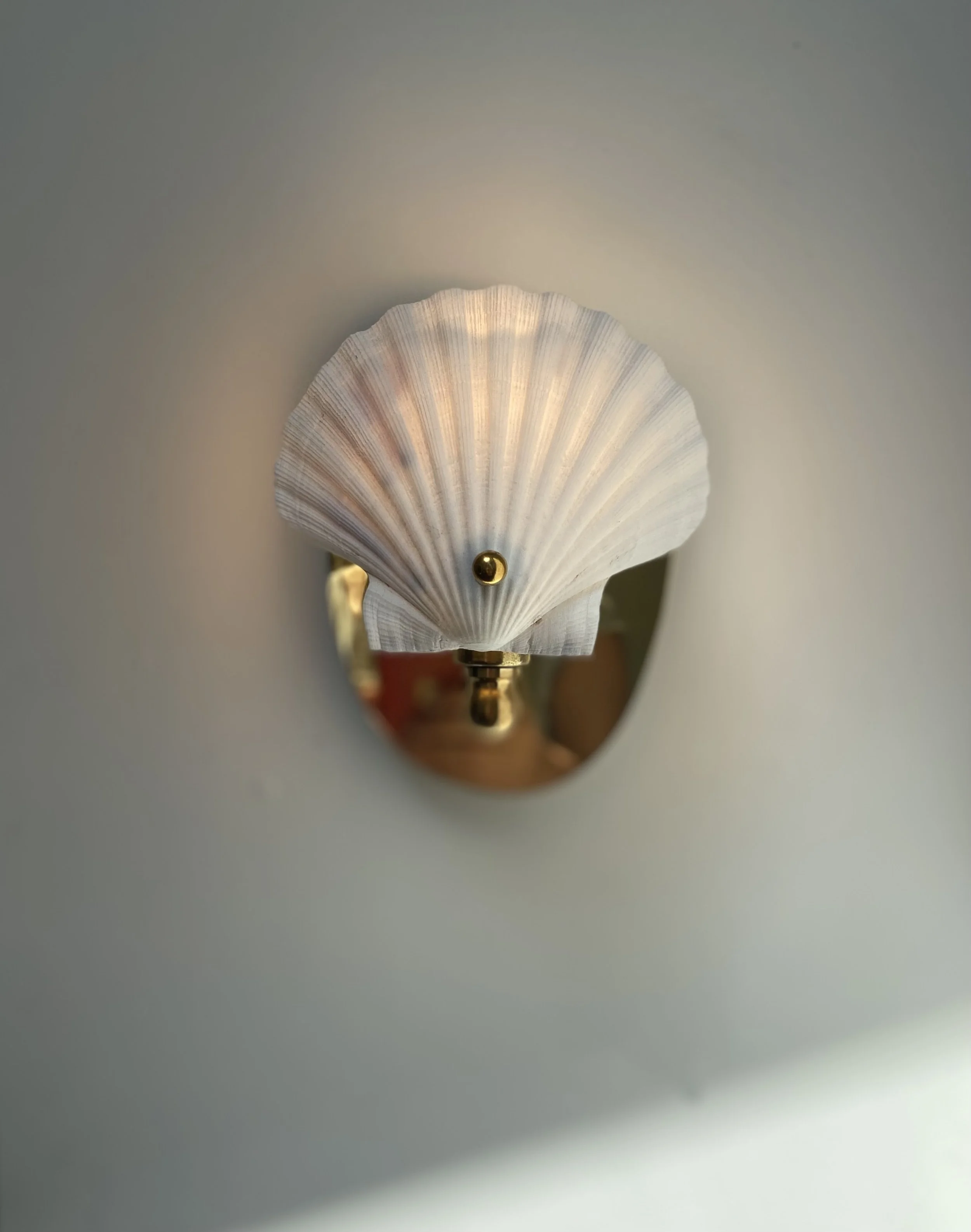 SCALLOP SHELL SCONCE (Copy)