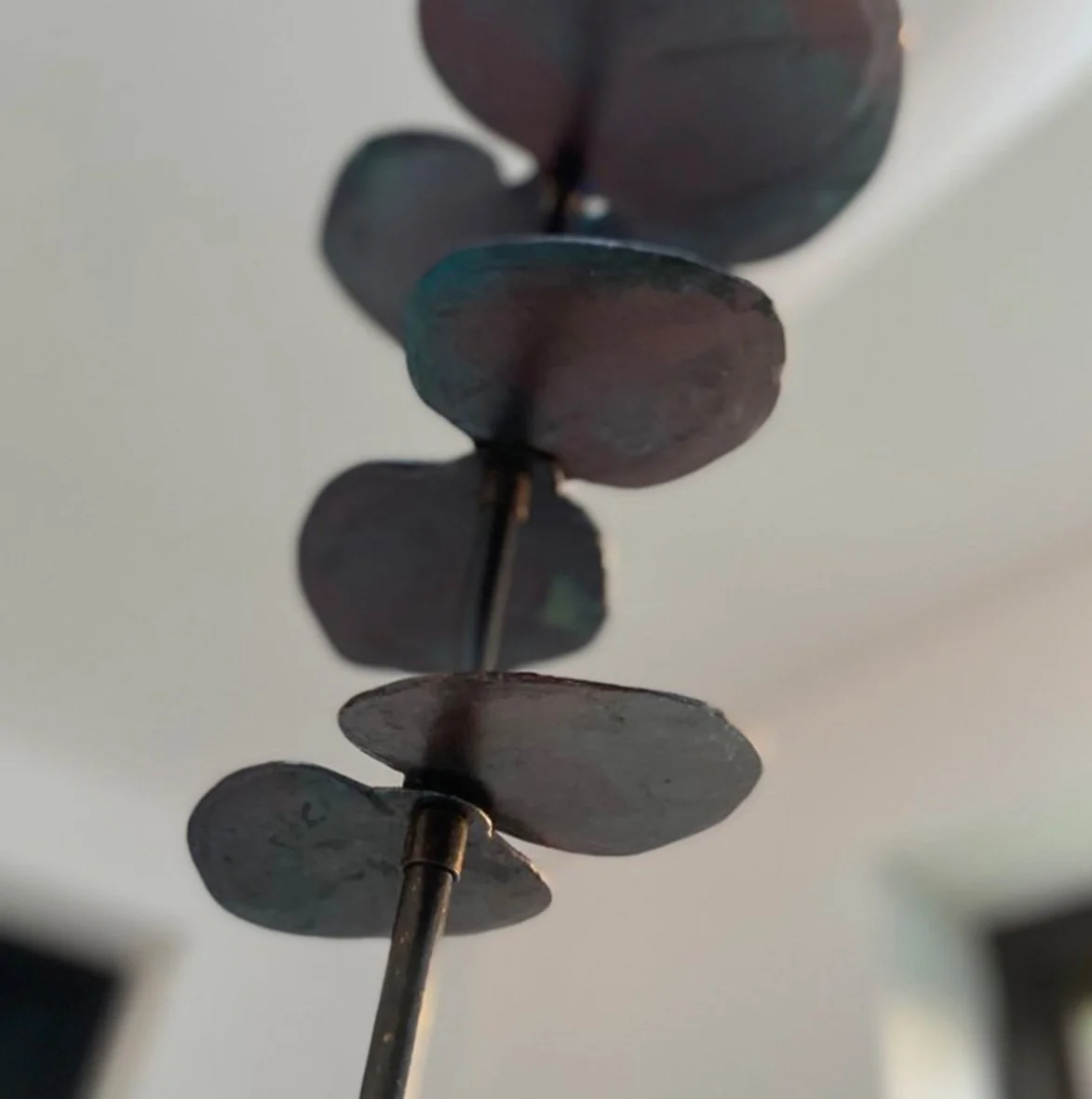 EUCALYPTUS (Copy)