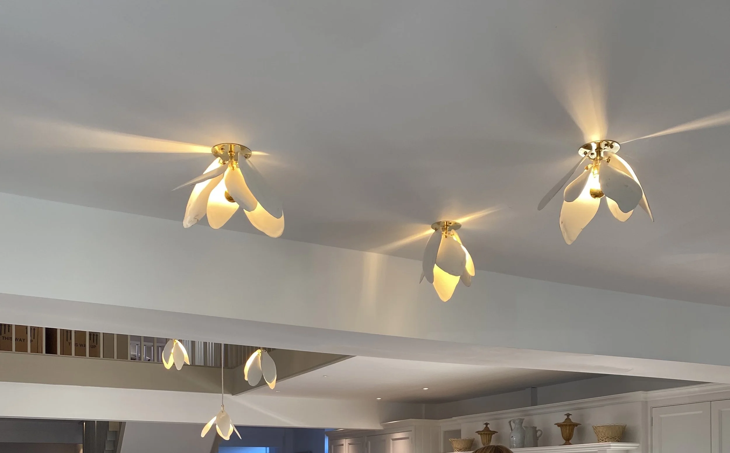 CEILING MOUNTED MAGNOLIA.jpg