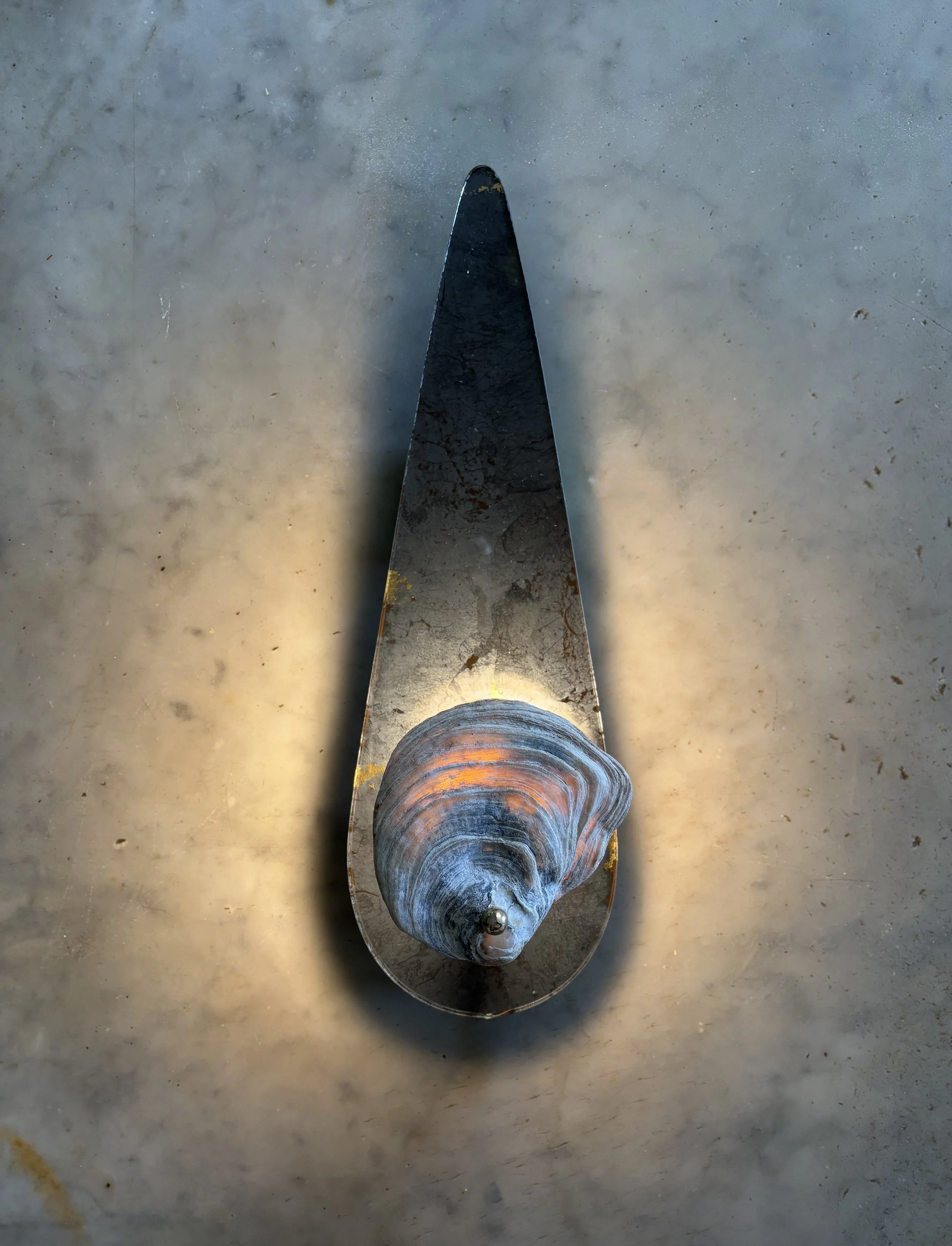 TEAR DROP 12 VOLT.jpg