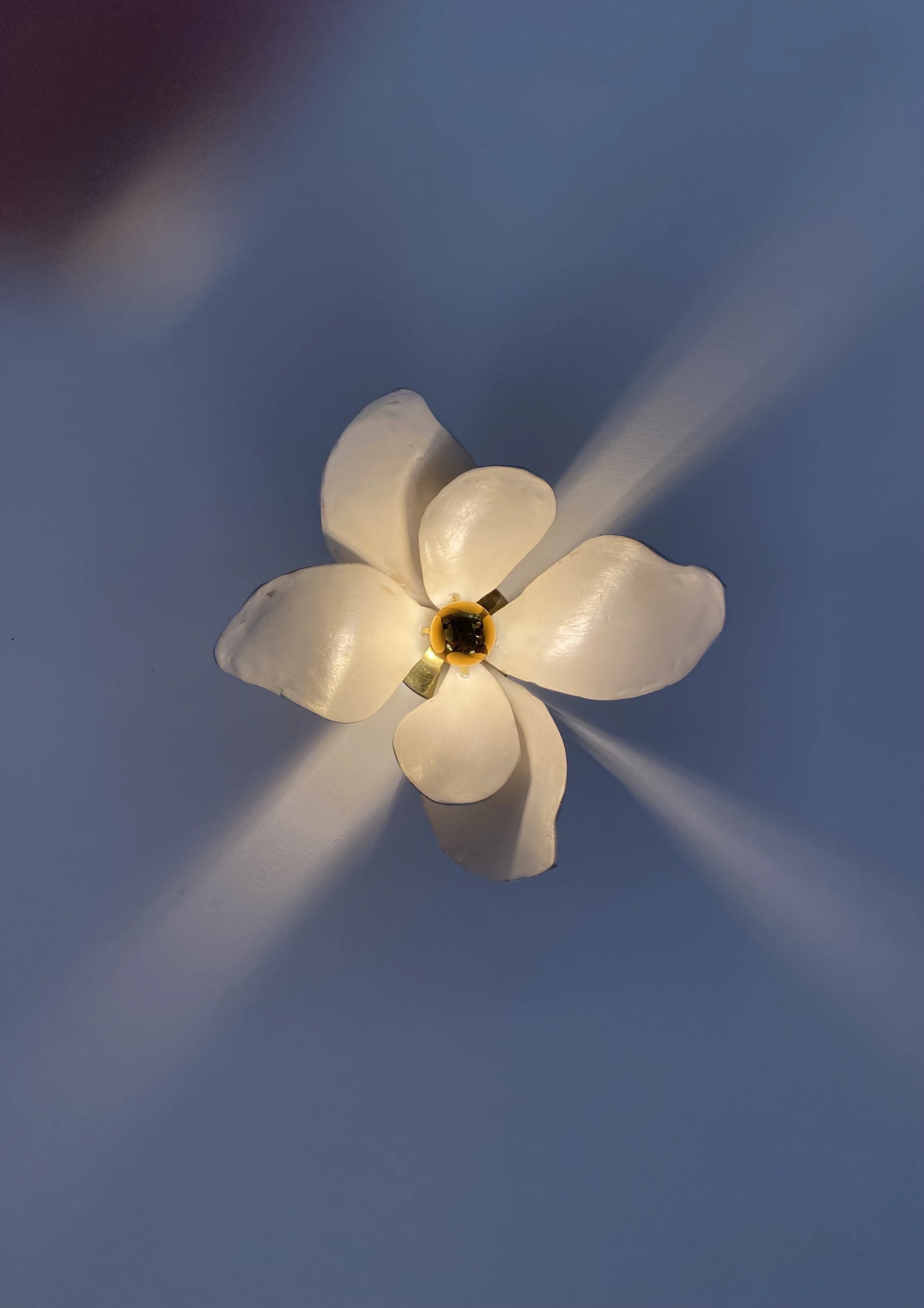 underneath magnolia.jpeg