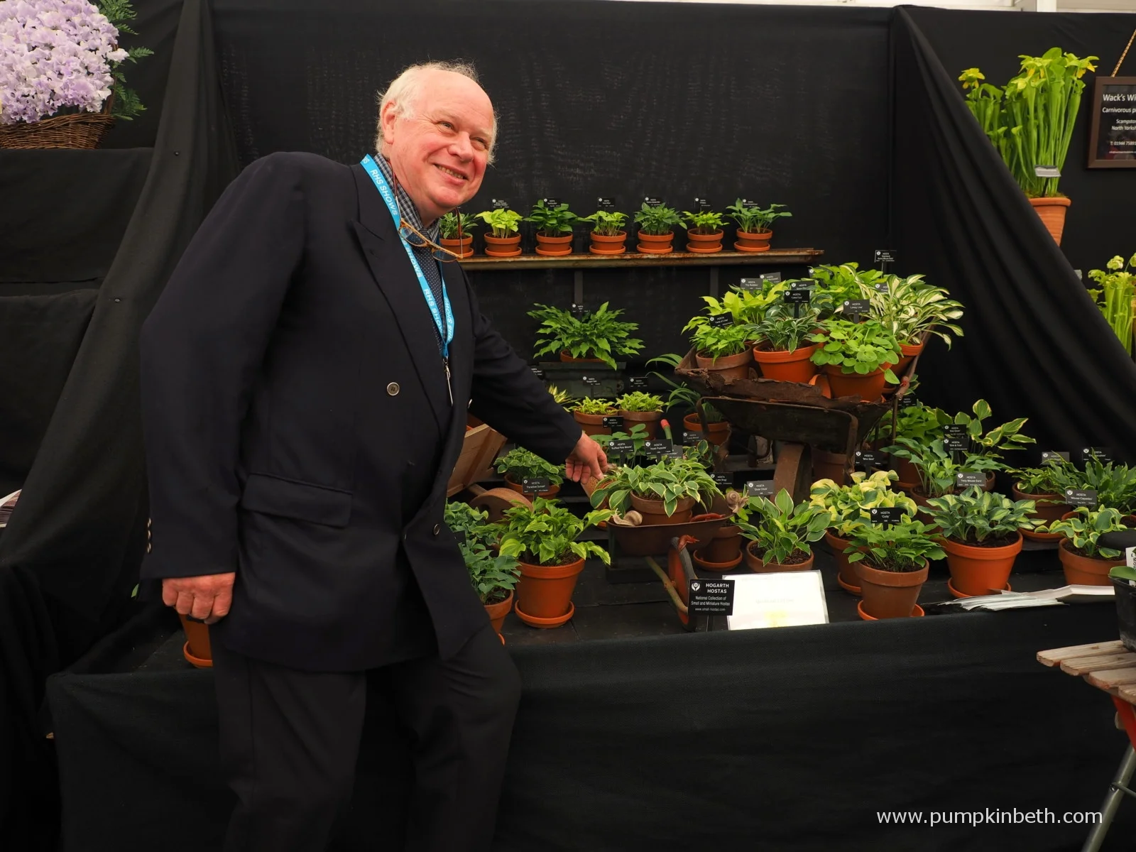 Jonathan Hogarth produces another, award winning stand of miniature hostas for the RHS Chelsea Flower Show. Thank you to Beth Otway, of Pumpkin Beth , for capturing this fantastic picture.