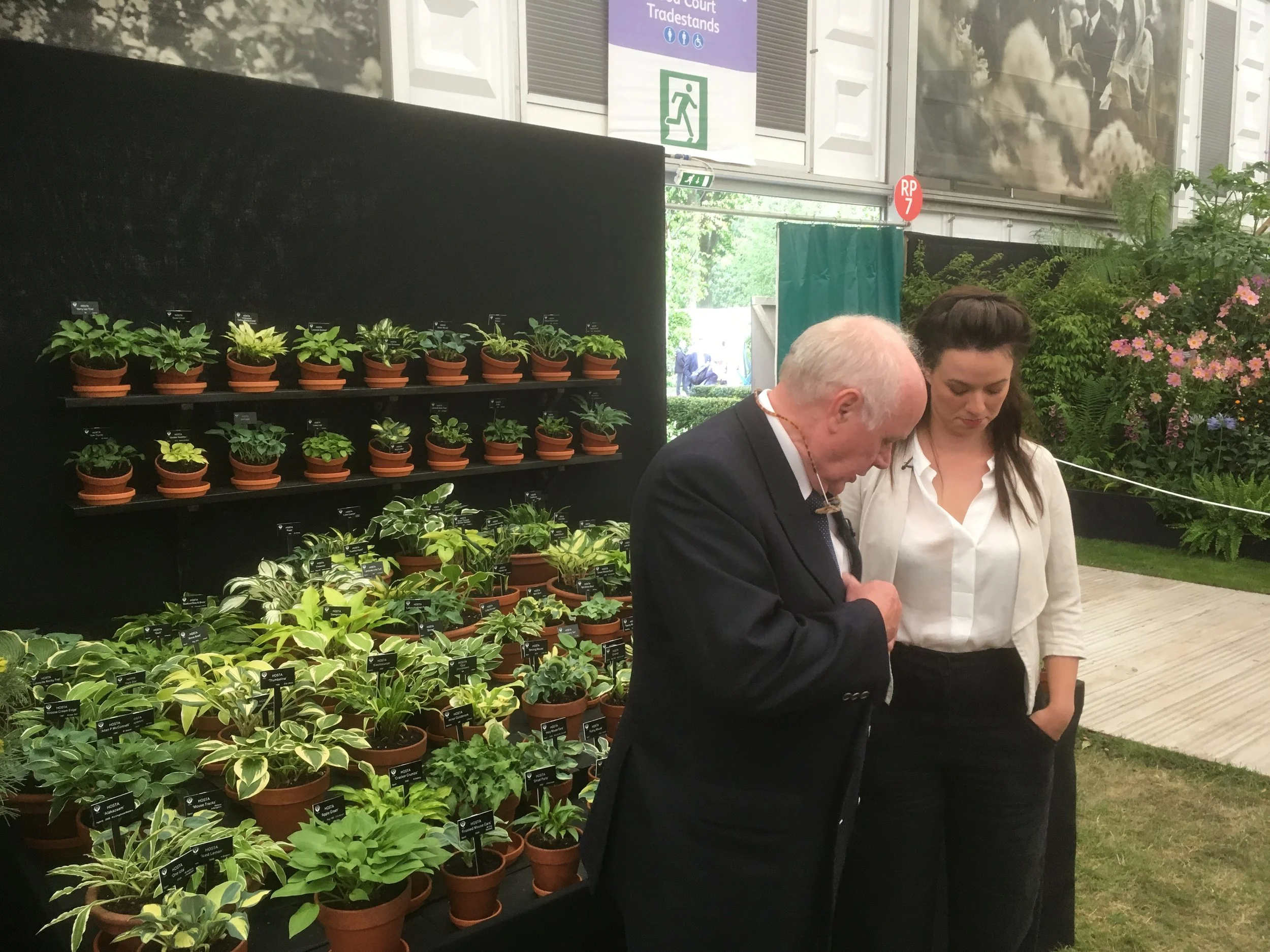 Jonathan Preparing to Talk Us Through his Hosta Display