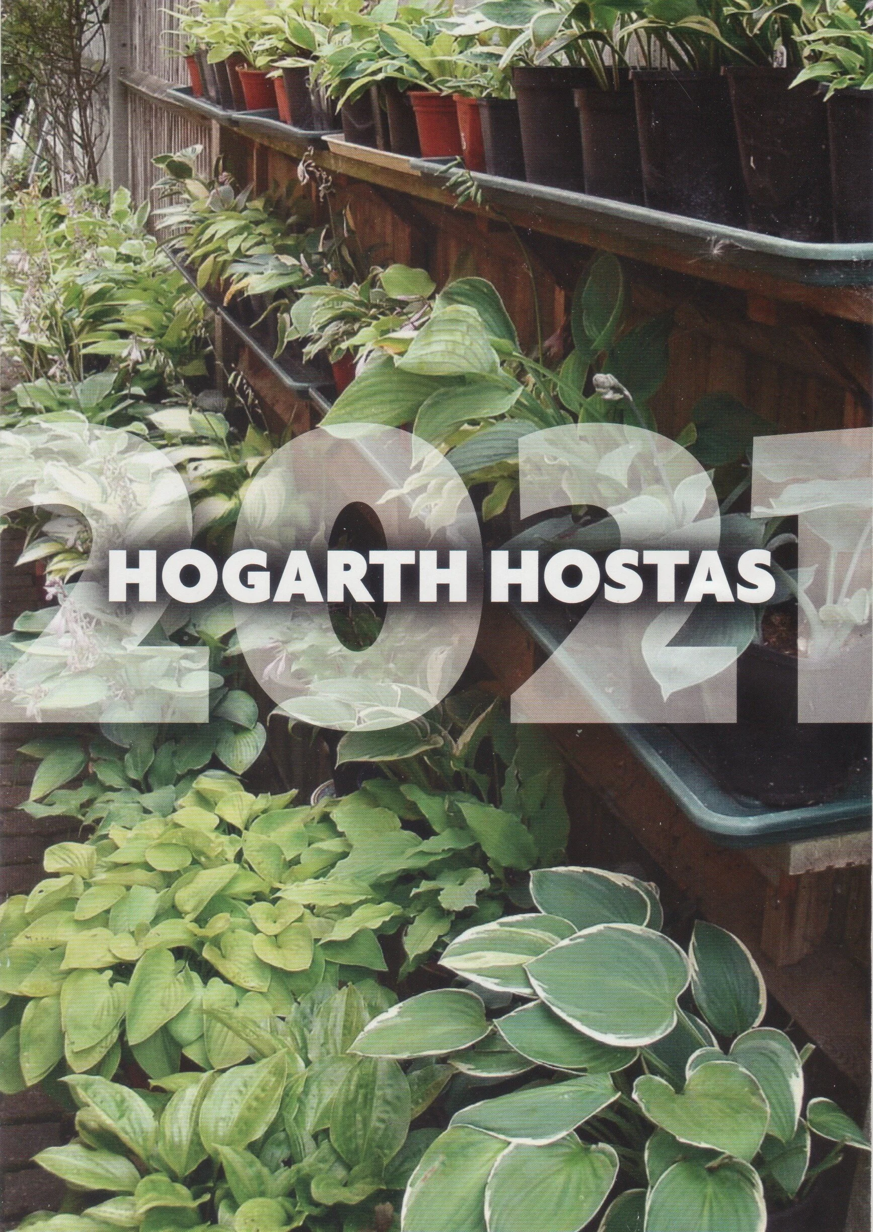 Hampton Court Palace Garden Festival