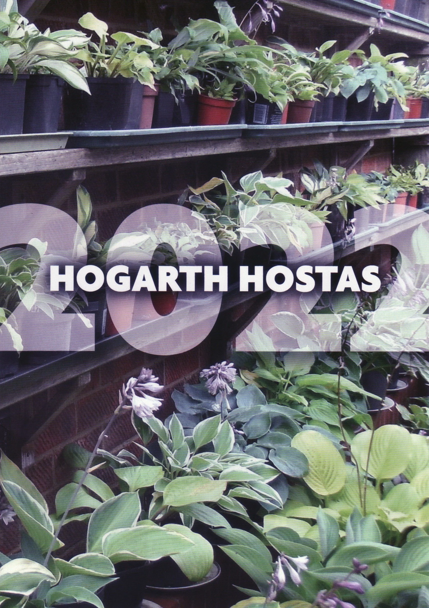 RHS Chelsea Flower Show