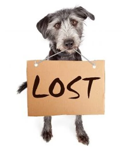 Have you ever felt lost, in where you are going or what you are doing?