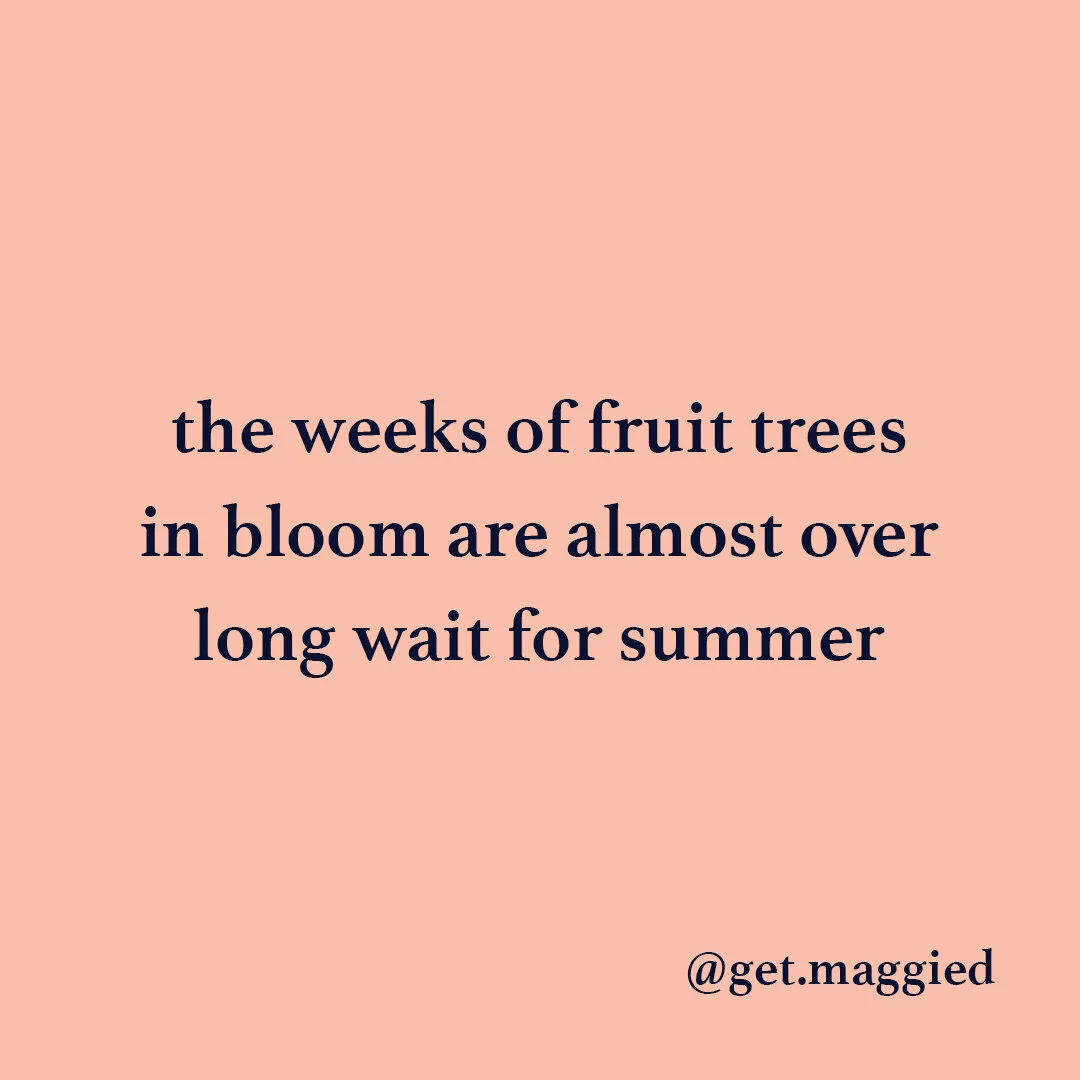 plant friends
