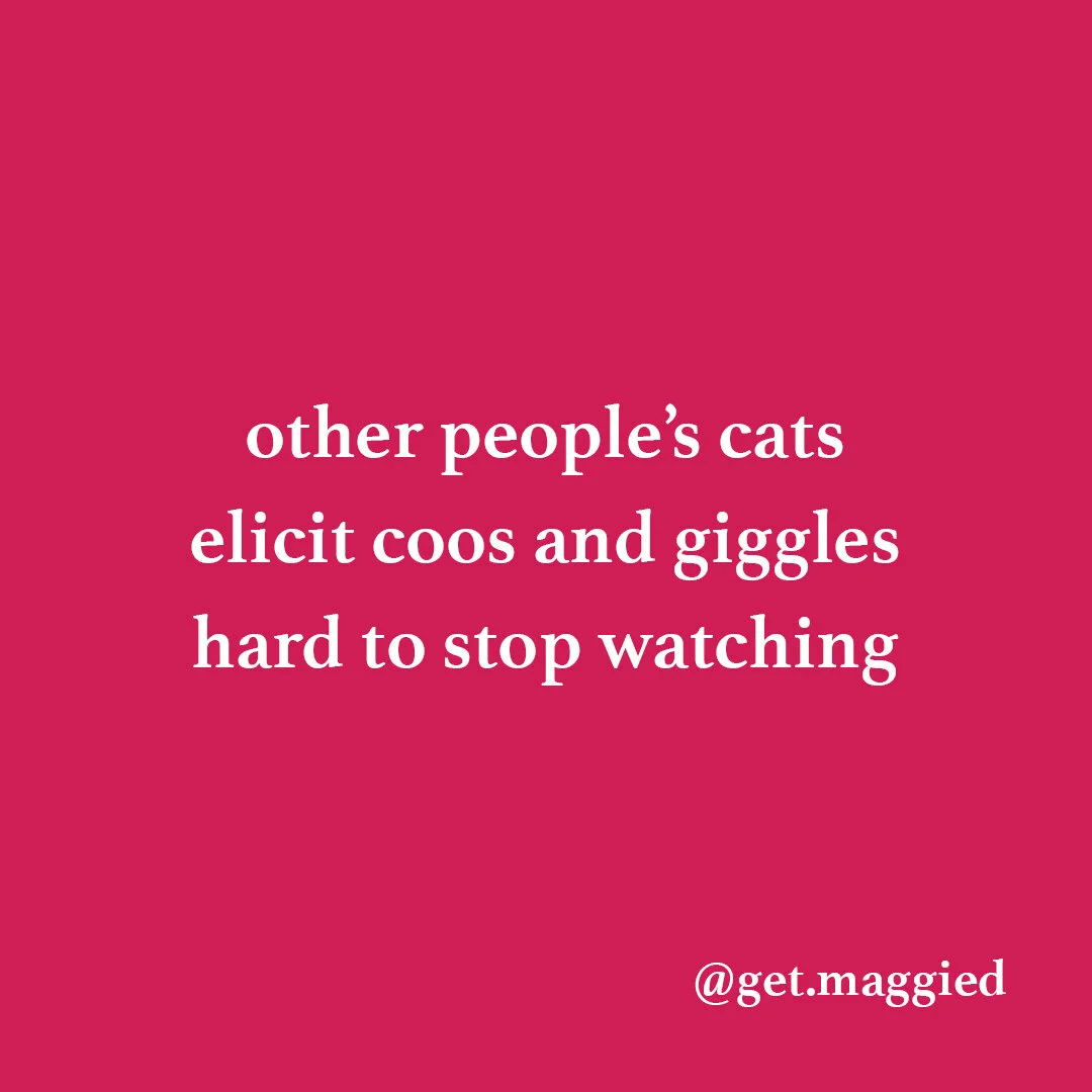 pets