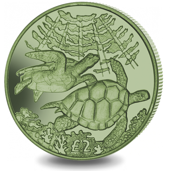 BIOT-GREEN-TURTLES-TITANIUM_600x600.png