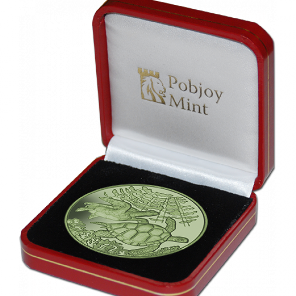 BIOT-GREEN-TURTLES-TITANIUM-IN-BOX_600x600.png