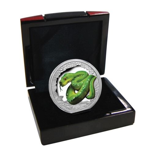 2018 Green Tree Python in box.jpg