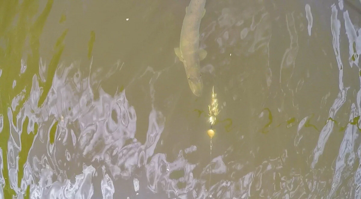 7E2DEECA-9ED0-4A7E-BE3A-4CE56A016F0A 2.JPEG