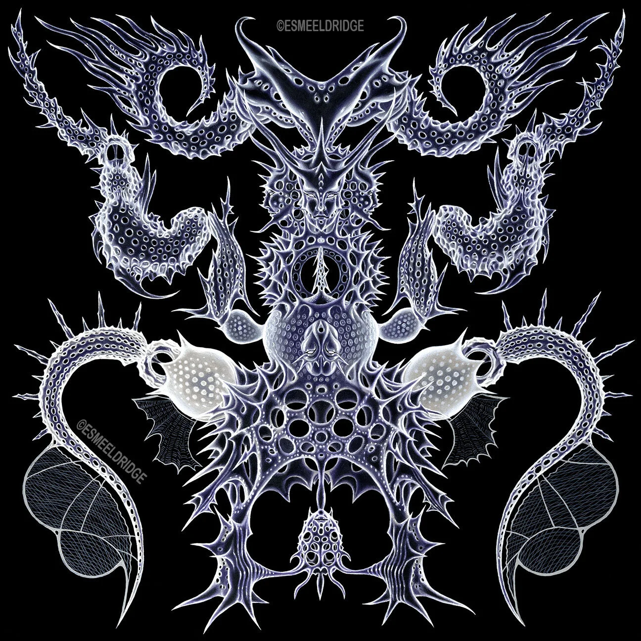 Circumambiance, 2019