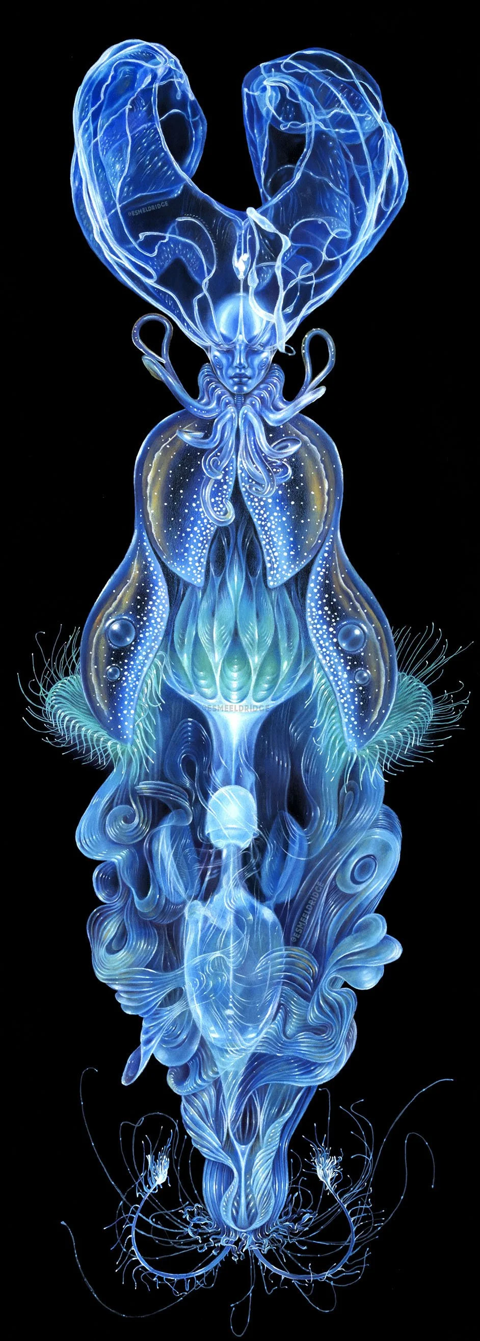 La Dame en Bleu, 2019