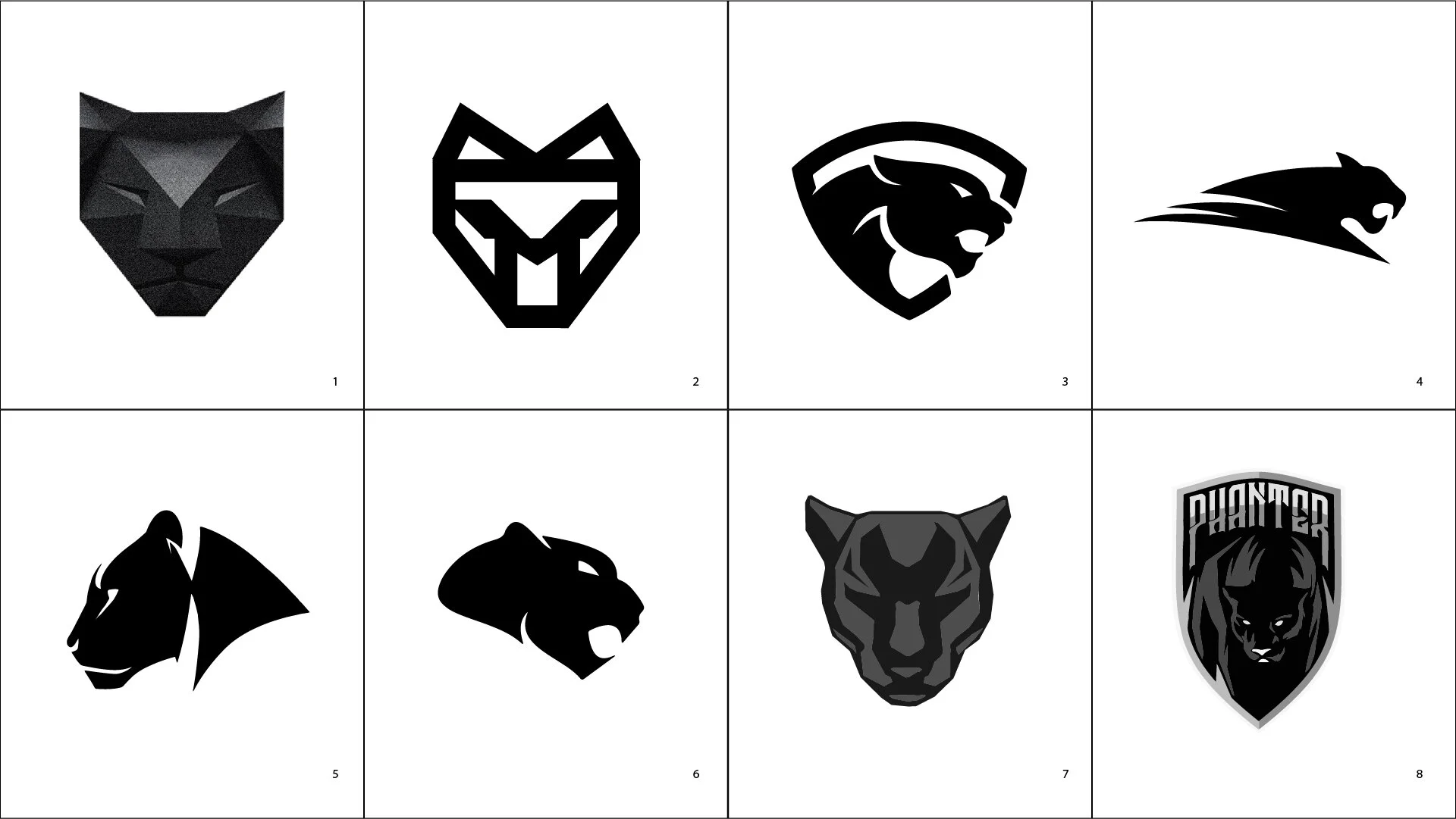 V3PANTHER-ICONS.jpg