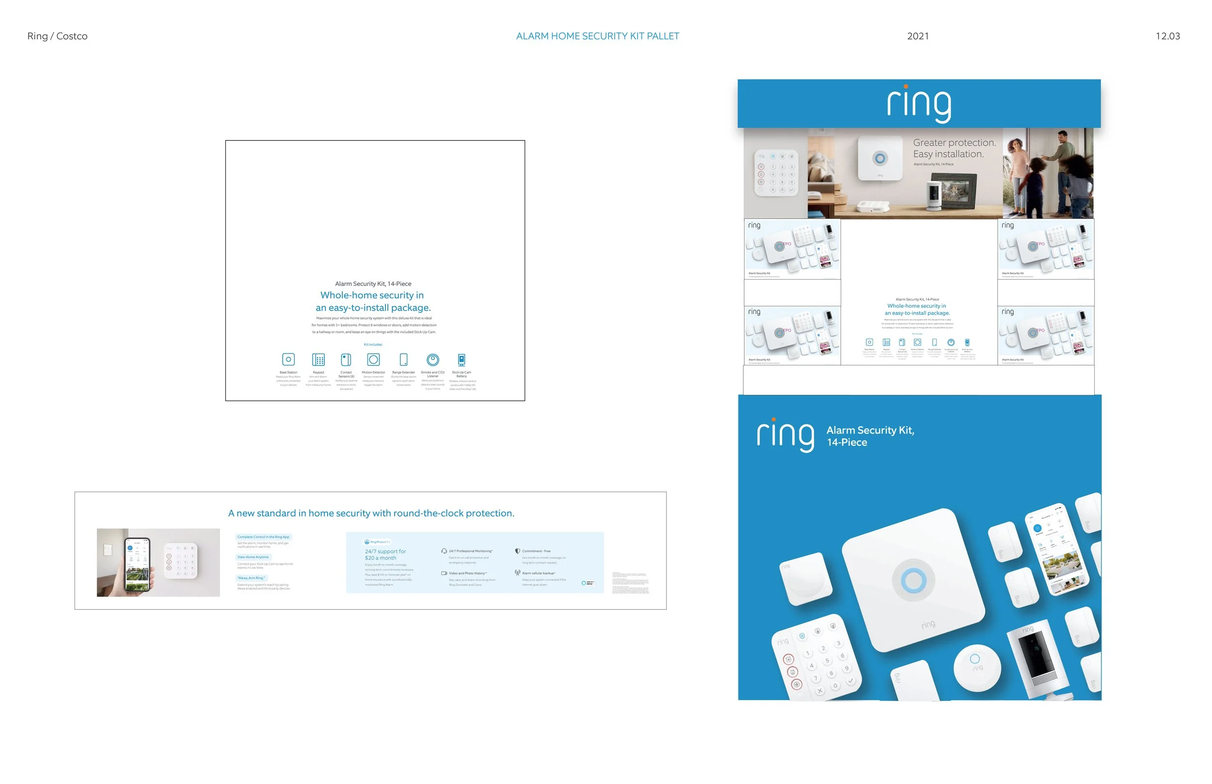 08_COSTCO_Pallet_Prod_Q2_ALARMPallet_Presentation_12.3_Page_1.jpg