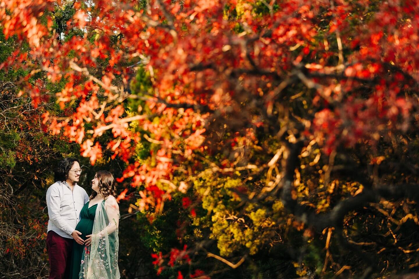 Getting to be a part of my client&rsquo;s lives beyond the wedding day is always so special! Haley reached out to me wanting to incorporate her wedding veil into their maternity photos and I was SO stoked to create some magic with them again! I can&r