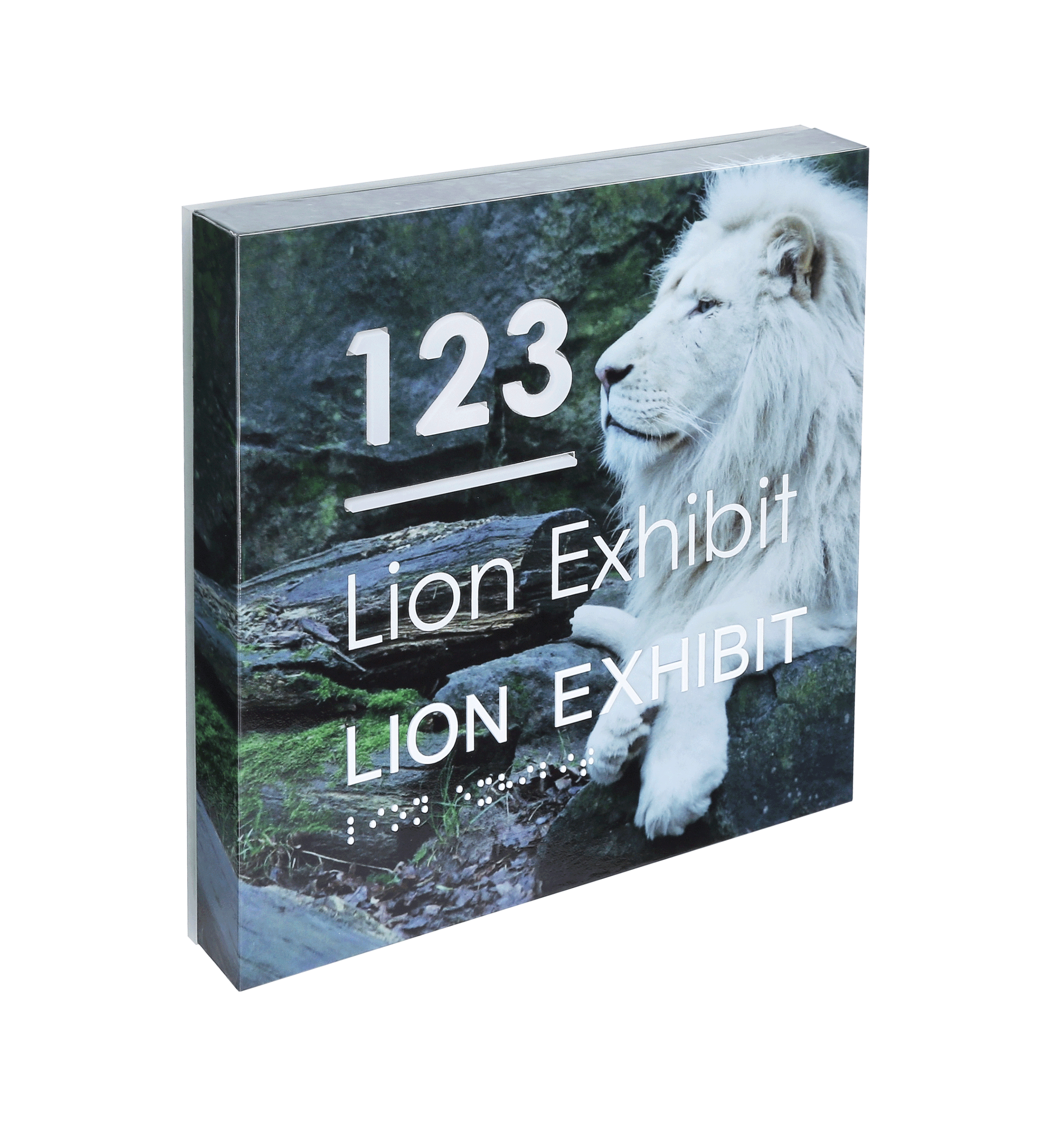 Light_Engine_Image_Wrap_LionExibit.gif