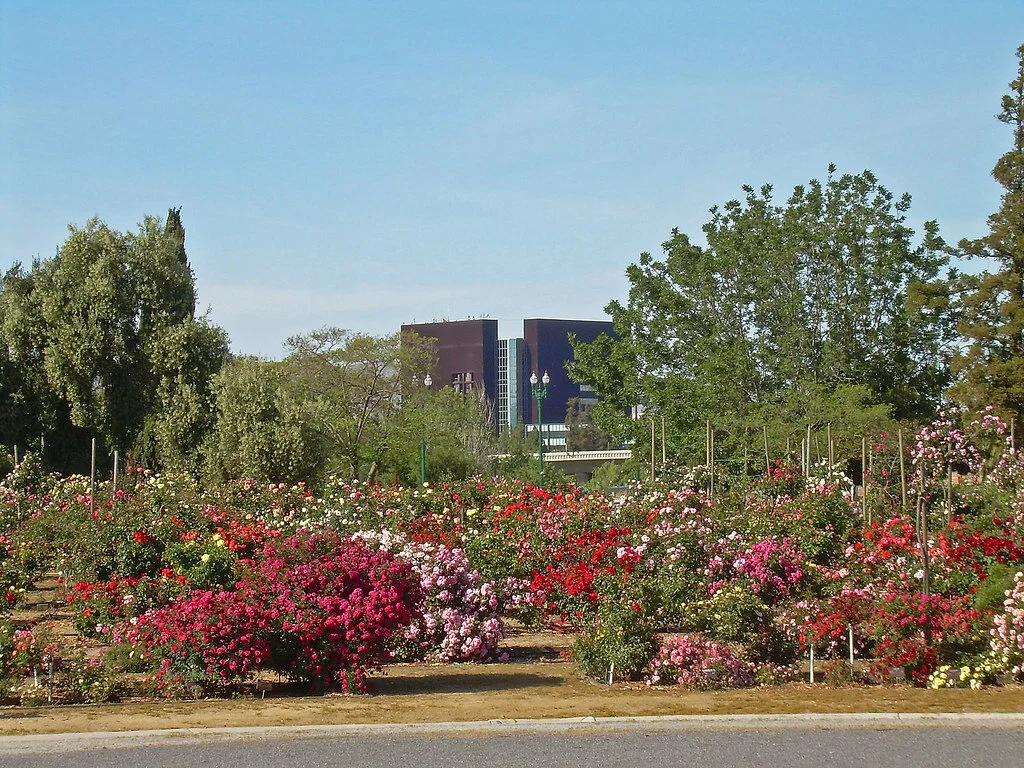 The truth behind the county workers' strike