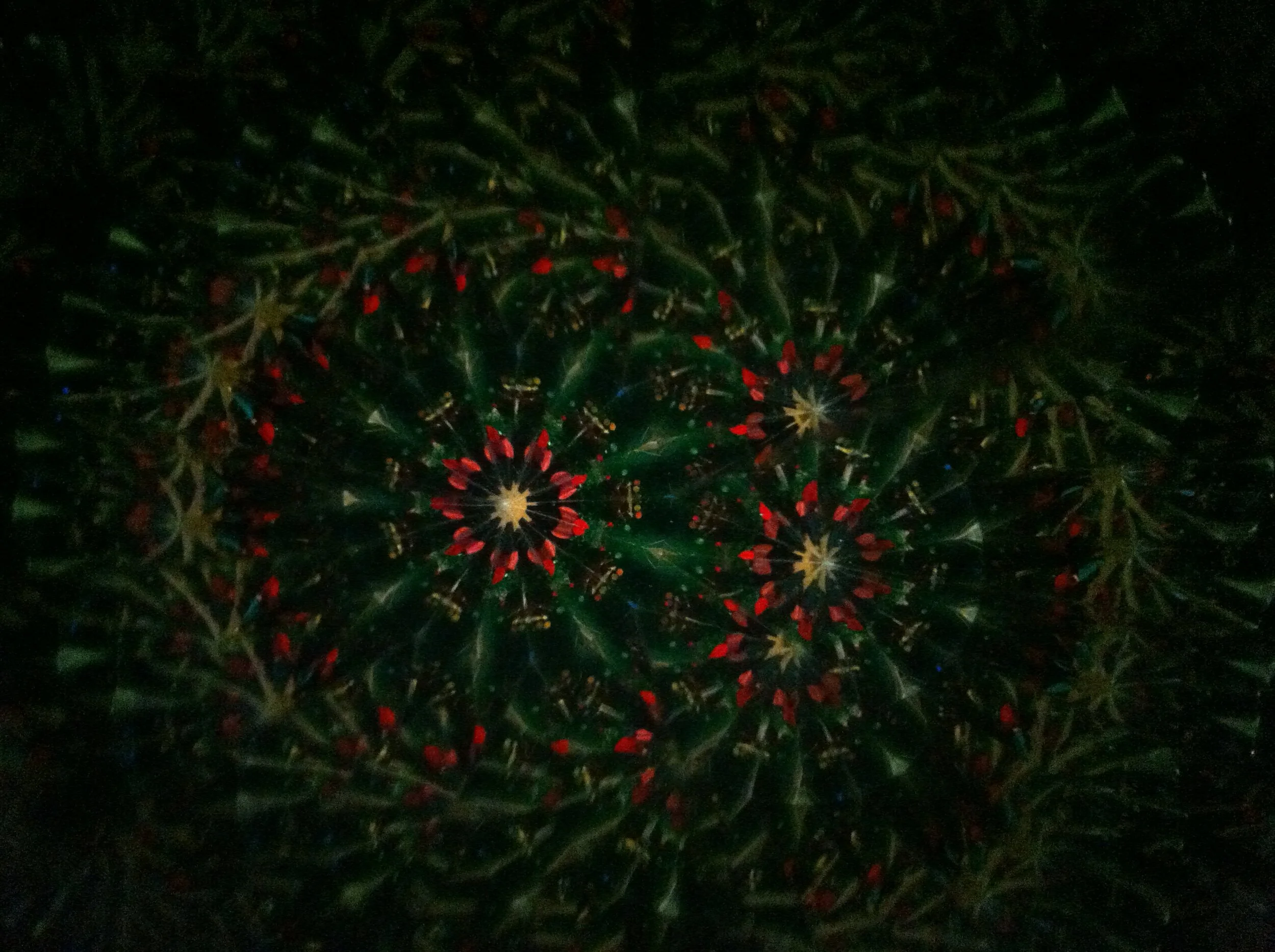 Understanding the ever-shifting shibboleths of modern progressivism