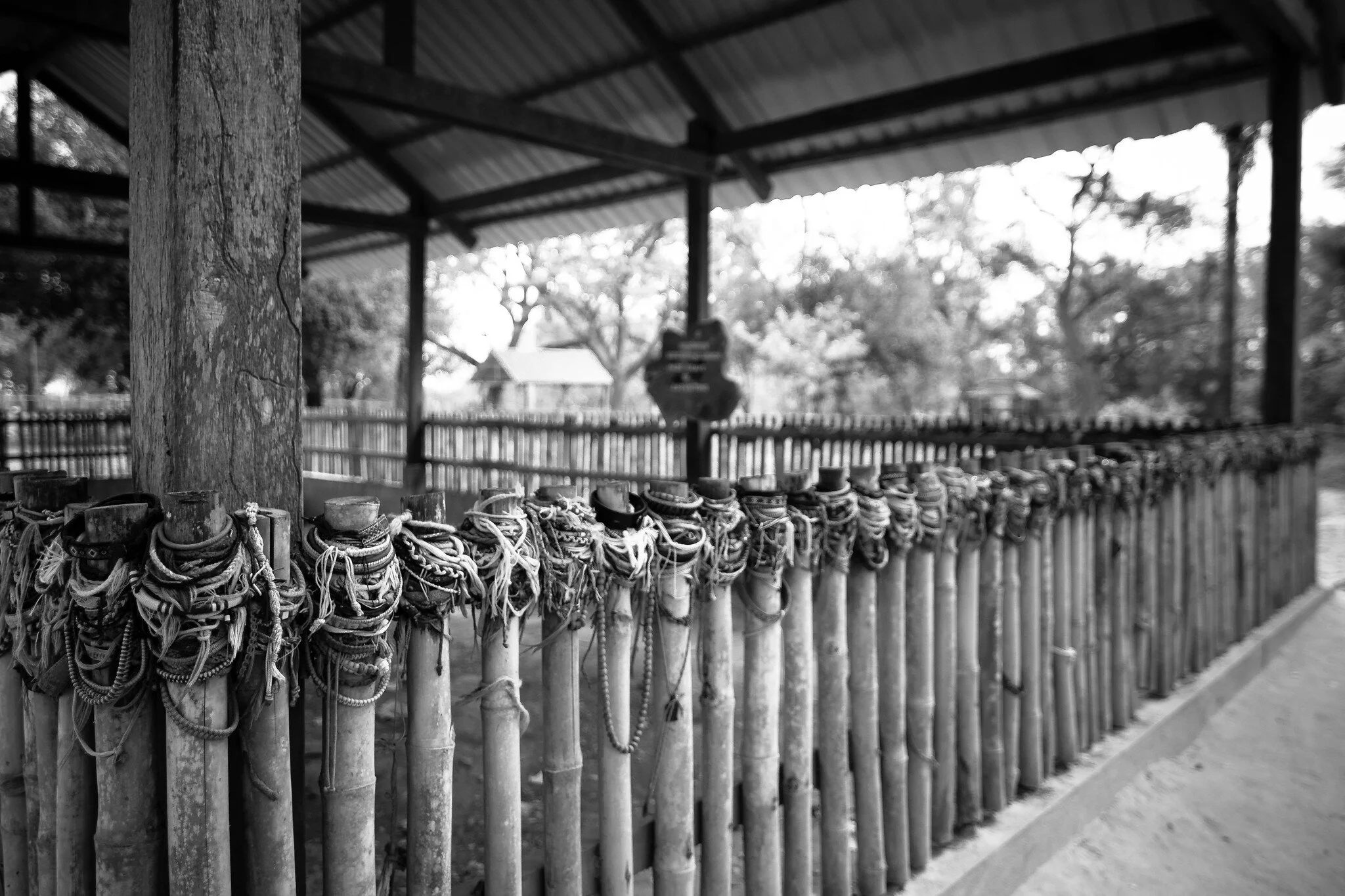 If you thought schools were for learning about truth, you are just so yesterday