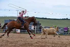 City Council tries to reign in runaway charter commission