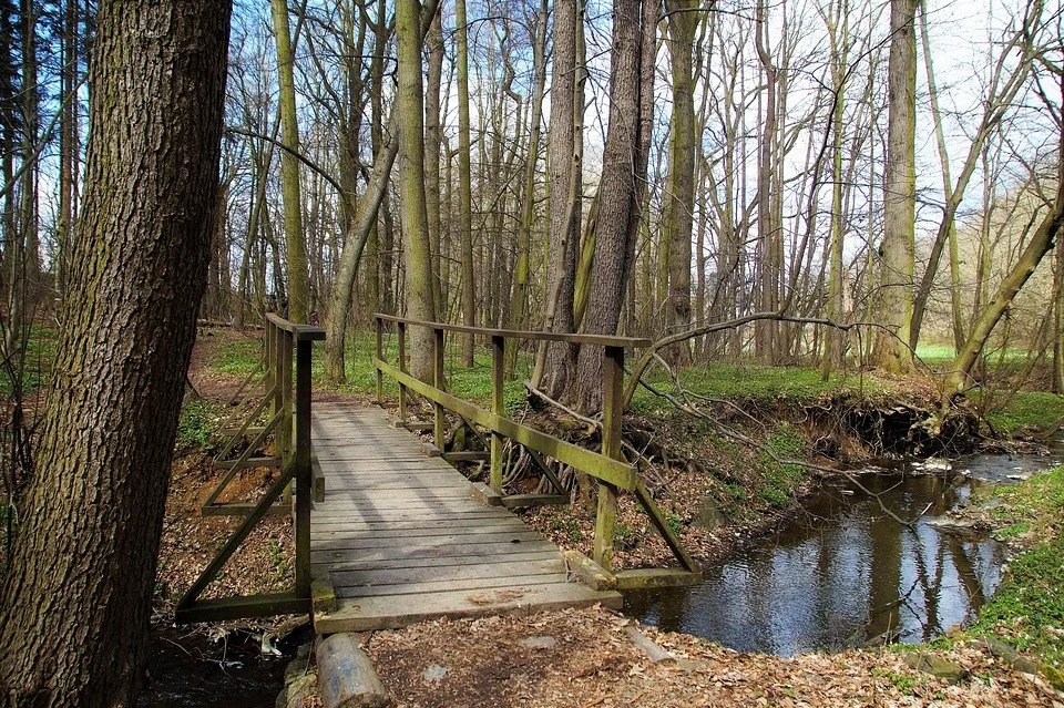 Like a bridge over a false divide