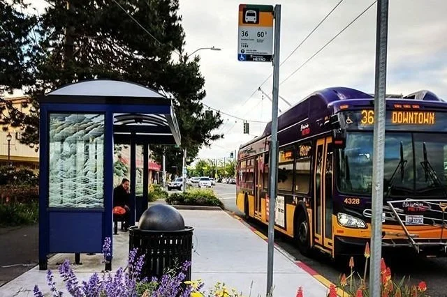 Opinion: SF's “Homeward Bound” was far more successful than barrier-free housing