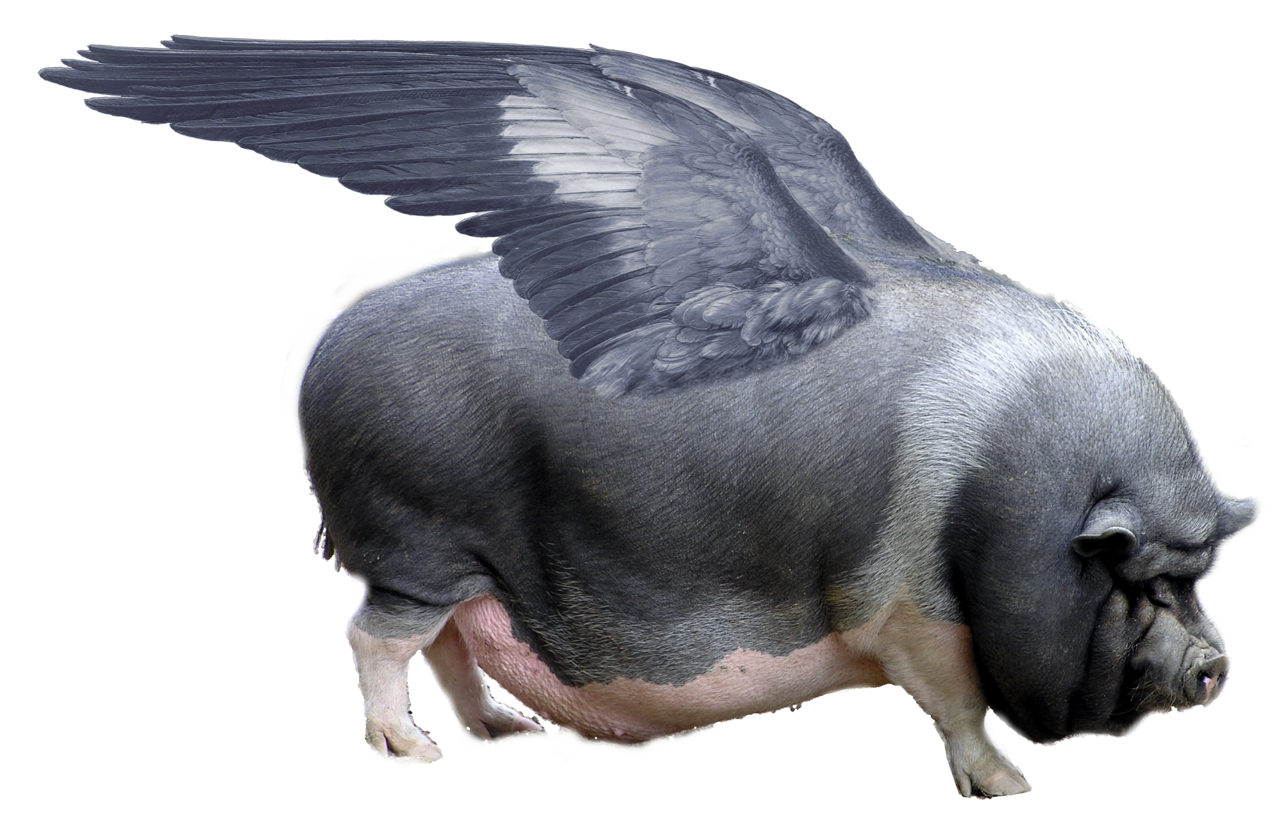  Pigs fly: CA legislature advances vote on 2/3 tax threshold