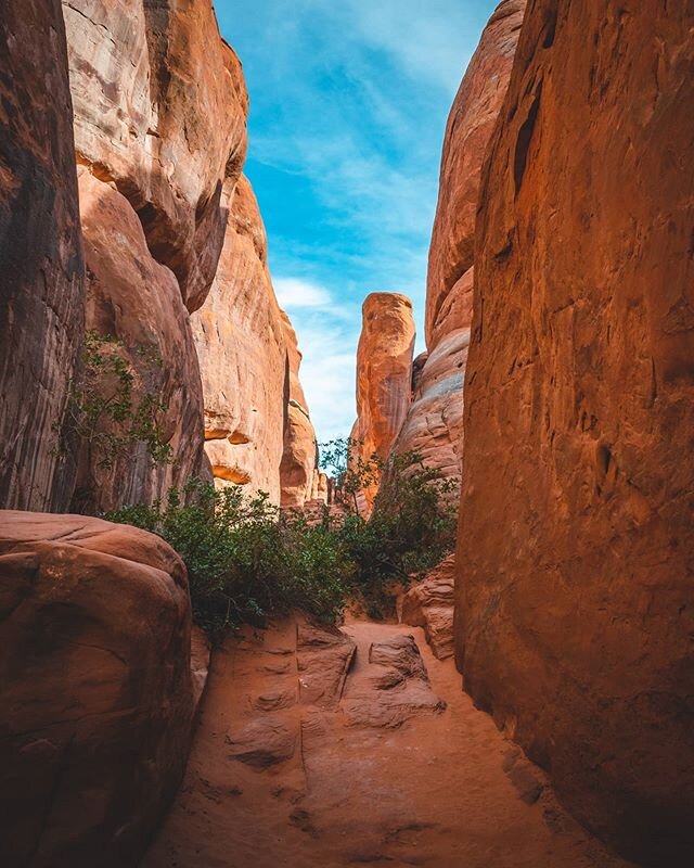 Not your usual shot of Arches National Park, but it was toasty that day and we were welcoming the shade of the slot canyon. Missing Utah's red rocks like something fierce.
.
Edit: coincidentally it's also Arches NP's 91st bday!
.

#theoutbound #natio