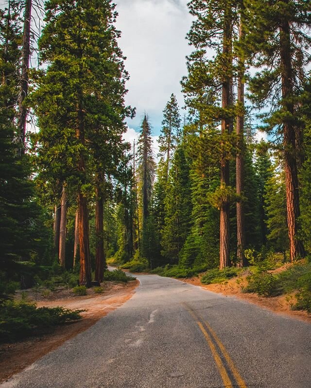 Can't wait to get back on the road again. This is one of my favorite shots from the Sierra Nevada roadtrip I took last summer. No epic mountain views here, just miles and miles of winding roads through the Sierra National Forest.
.
#exploredco #calie