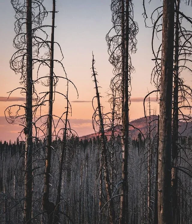 Lassen Volcanic National Park from last summer. Didn't even get to spend a full day there so I hope to visit again when this is all over 😀
.
#exploredco #caliexplored #takemoreadventures #wildernessculture #wildernesstones #theoutbound #seekmorewild