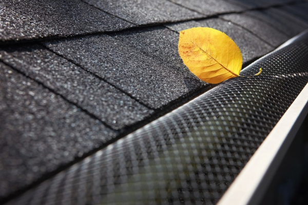 Gutter Guard - website.png