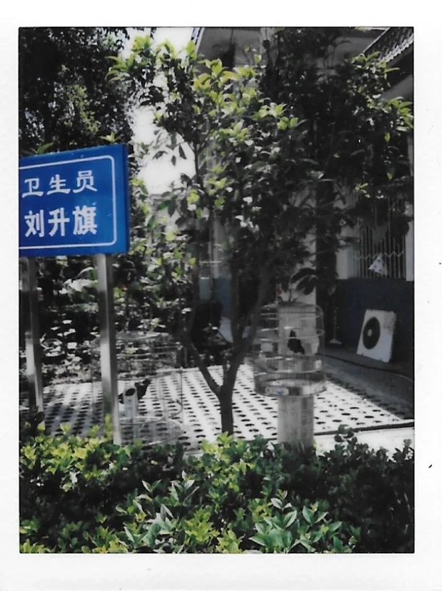 2019-07-02_111358.jpeg