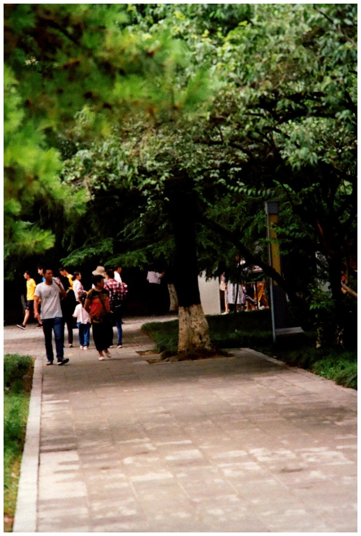 image0000 (3).jpg