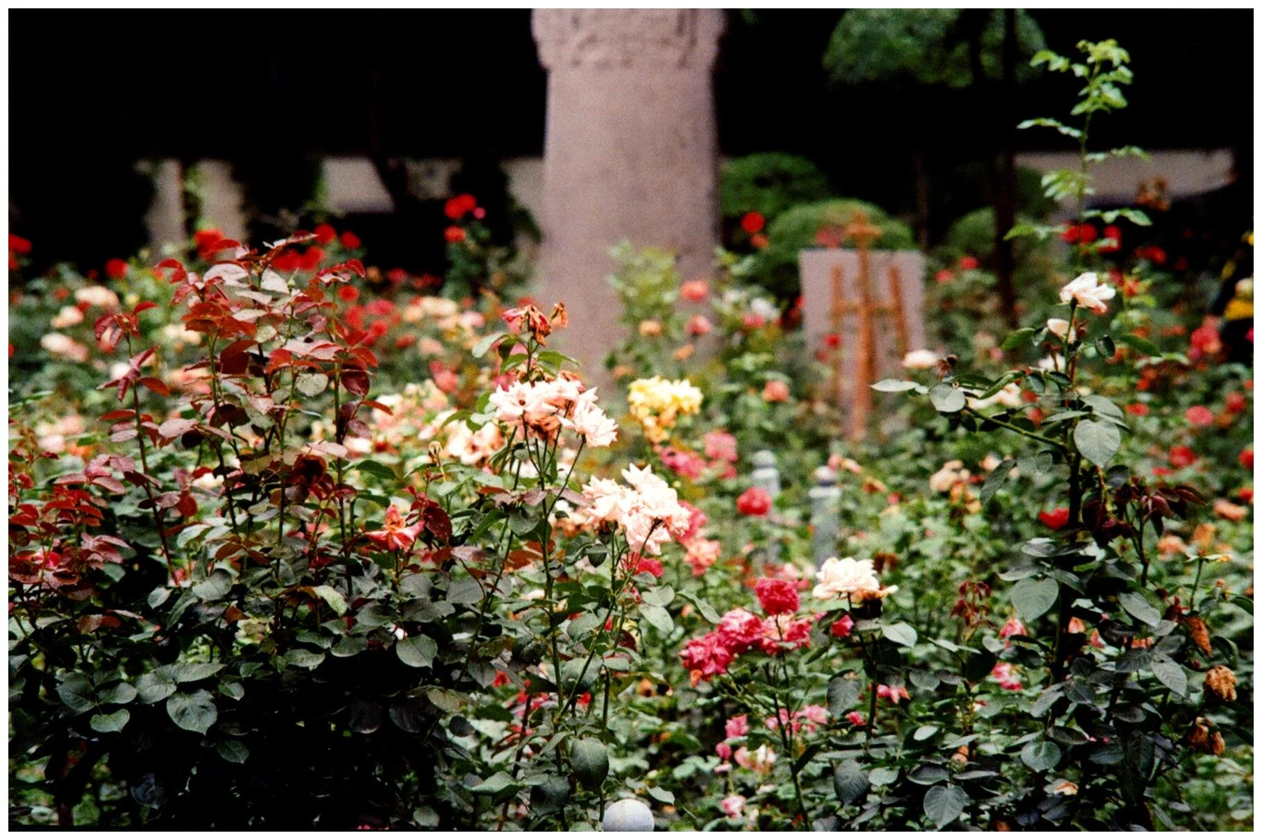 image0000 (4).jpg
