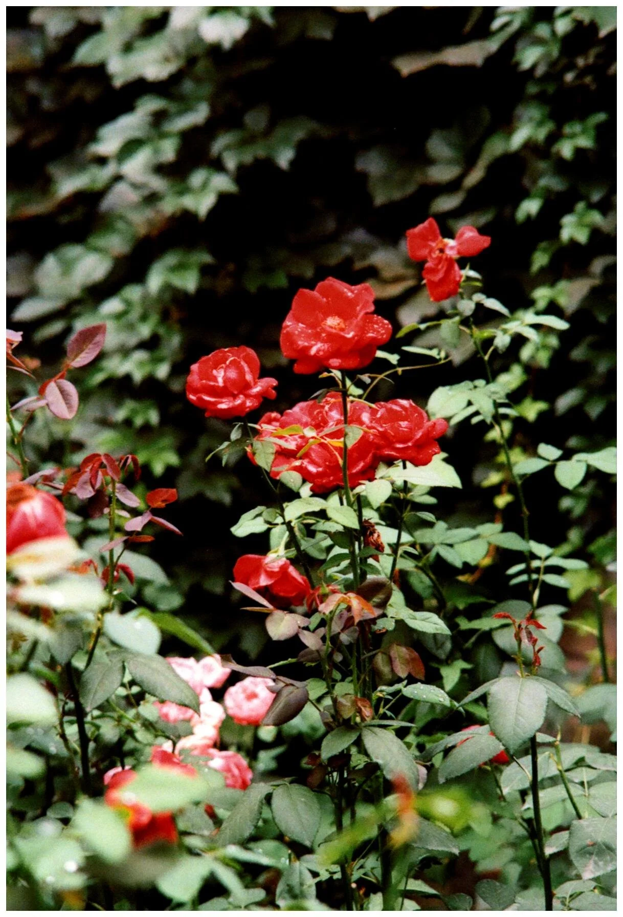 image0000 (5).jpg