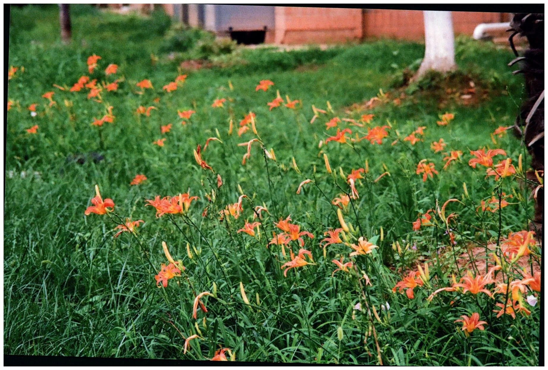 image0000 (10).jpg